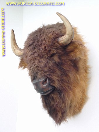 Buffalo (head) 0,82 meter