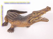 Krokodil, l: 1,20 meter 