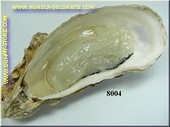 Oester 