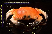 Crab, (C2)