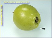 Groen appel, klein 