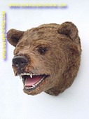 Bear (head)) 0,66 meter 